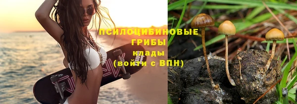 хмурый Абинск