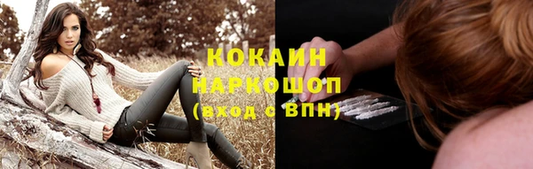 гидропоника Абаза