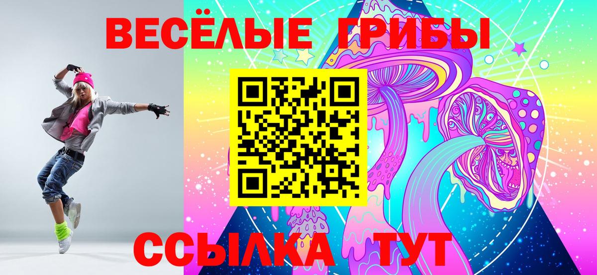 Галлюциногенные грибы Psilocybe Тобольск