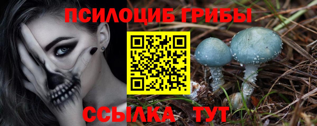 наркошоп  Вход с VPN  Тобольск  Псилоцибиновые грибы Psilocybine cubensis  Псилоцибиновые грибы Psilocybe 
